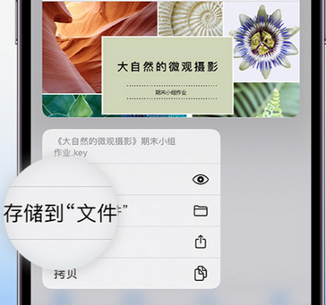 怀化apple维修中心分享iPhone文件应用中存储和找到下载文件