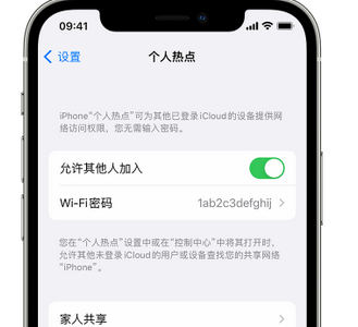 怀化apple服务站点分享iPhone上个人热点丢失了怎么办 