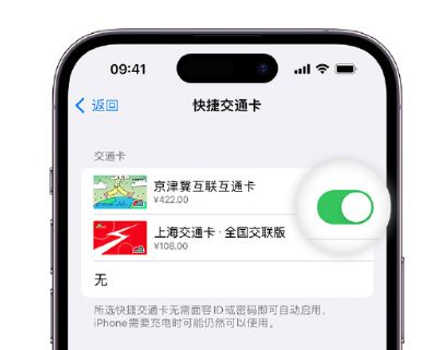 怀化apple维修点分享iPhone上更换Apple Pay快捷交通卡手绘卡面 