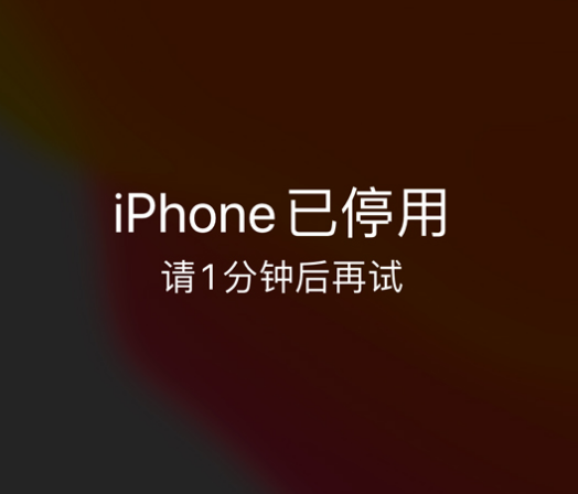 怀化苹果手机维修分享:iPhone 显示“不可用”或“已停用”怎么办？还能保留数据吗？ 