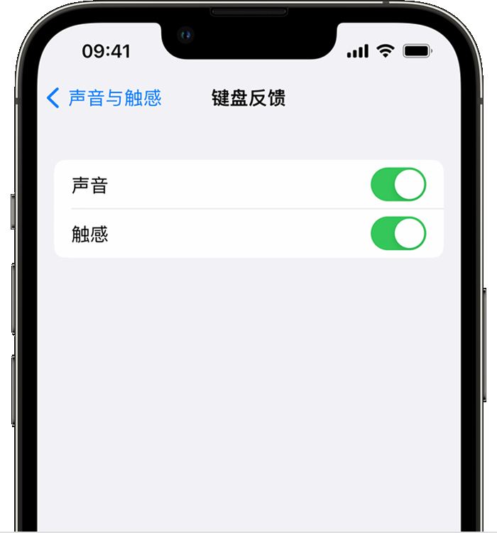 怀化苹果14维修店分享如何在 iPhone 14 机型中使用触感键盘 