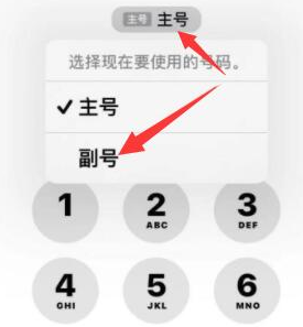 怀化苹果14维修店分享iPhone 14 Pro Max使用副卡打电话的方法 