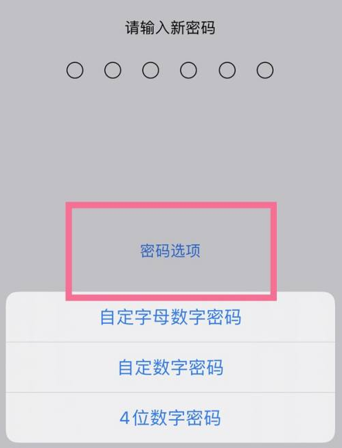 怀化苹果14维修分享iPhone 14plus设置密码的方法 