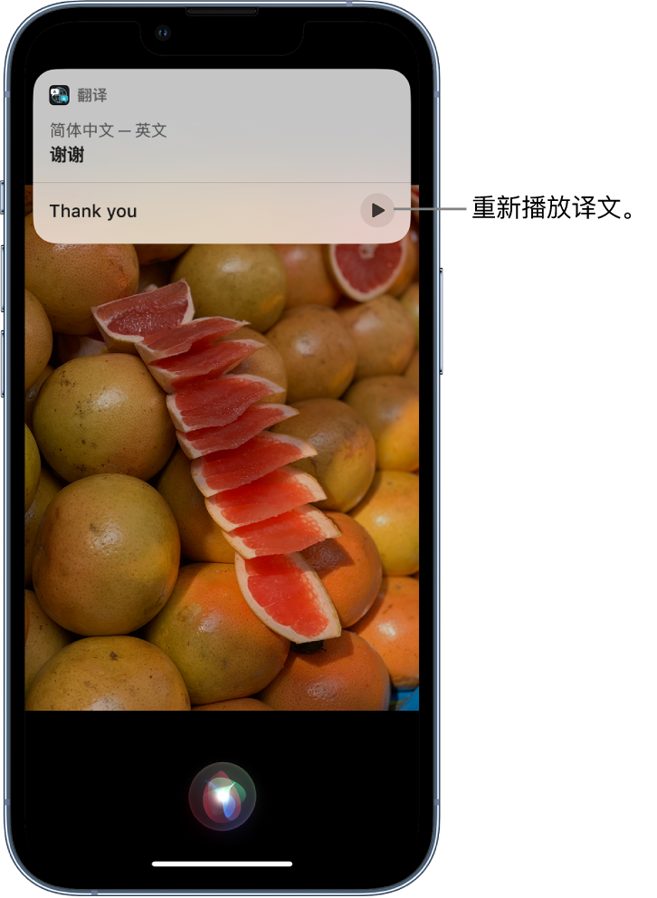 怀化苹果14维修分享 iPhone 14 机型中使用 Siri：了解 Siri 能帮你做什么 