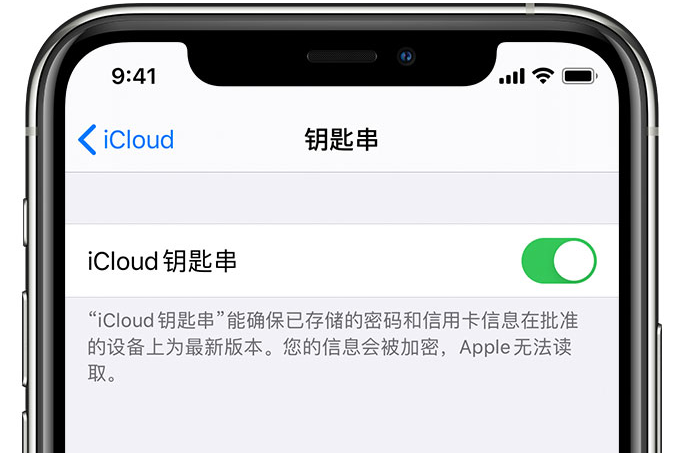 怀化苹果手机维修分享在 iPhone 上开启 iCloud 钥匙串之后会储存哪些信息 