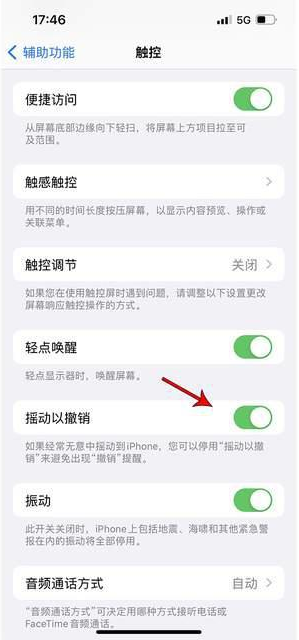 怀化苹果手机维修分享iPhone手机如何设置摇一摇删除文字 